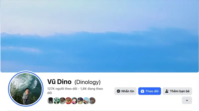 Facebook Dino Vũ