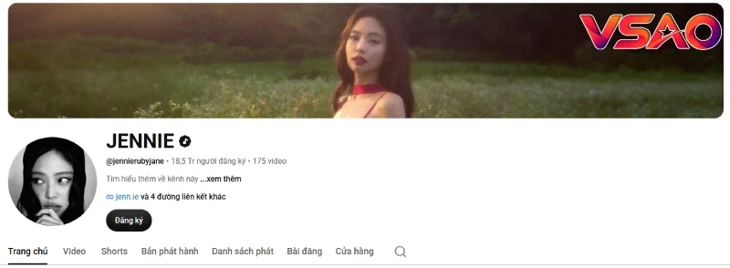 Jennie: Hồ sơ, sự nghiệp cùng BLACKPINK và hoạt động cá nhân