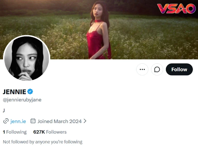 Jennie: Hồ sơ, sự nghiệp cùng BLACKPINK và hoạt động cá nhân
