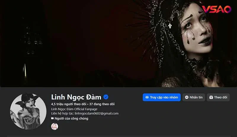 Linh Ngọc Đàm: hồ sơ, sự nghiệp và các nền tảng chính thức