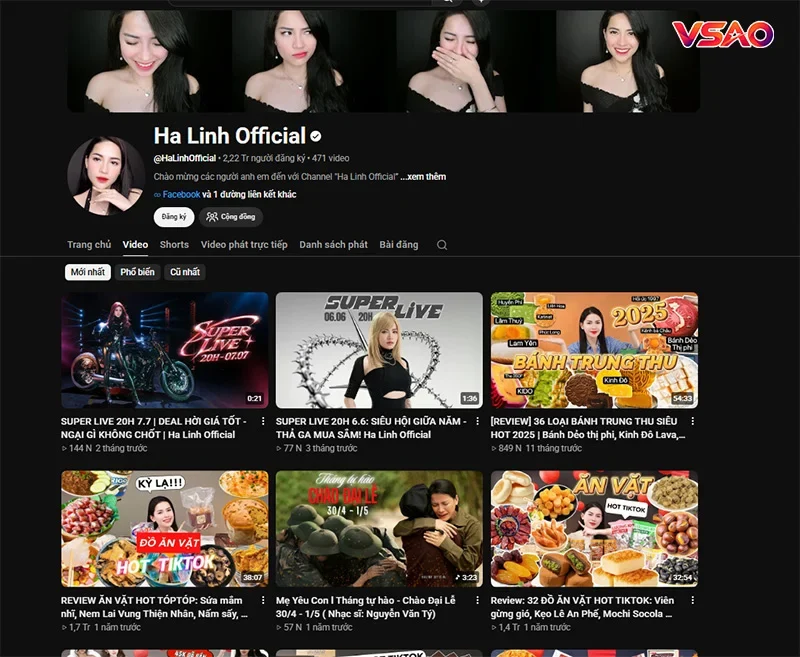 Tiểu sử Võ Hà Linh: Hồ sơ, lĩnh vực review và kênh chính thức