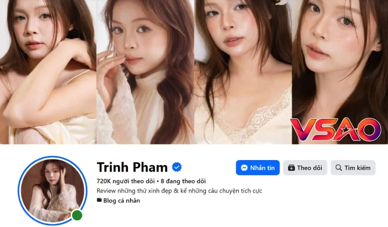 Trinh Phạm: Hồ sơ, lĩnh vực review và các kênh chính thức