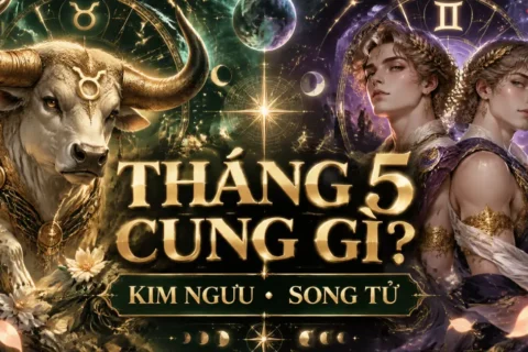 Tháng 5 cung gì? Cách xác định cung hoàng đạo theo ngày sinh
